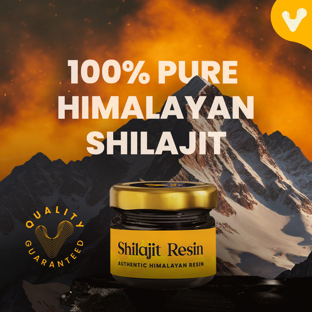 Mens Performance combo : Valeo Testo Plus and Shilajit Resin 20Gm