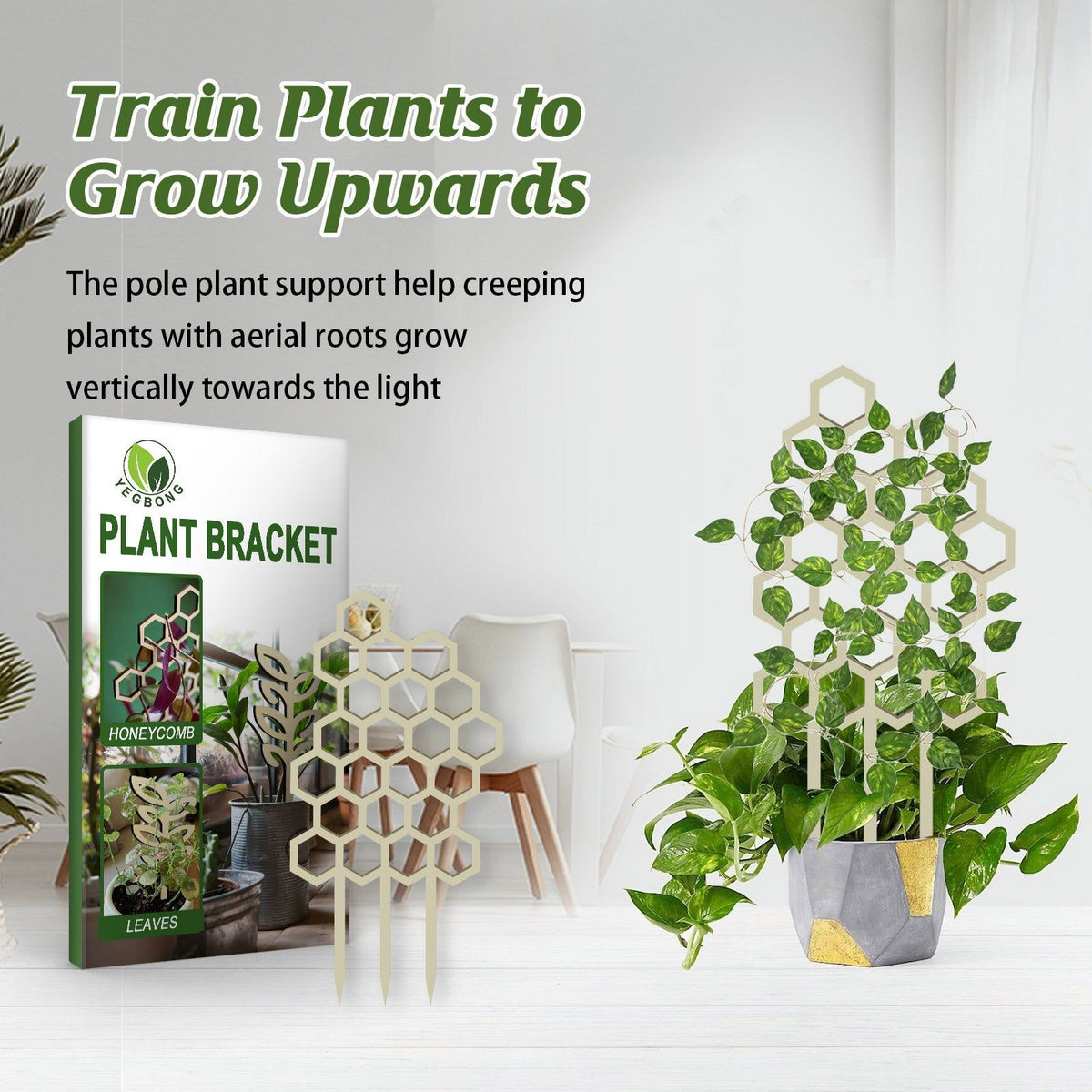 Decorative Support for Climbing Plants, Garden Trellis, Wooden Geometric Plant Holder ,3pcs
