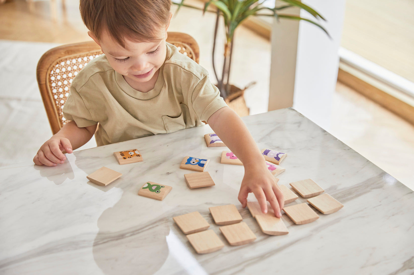 PlanToys Animals Memo