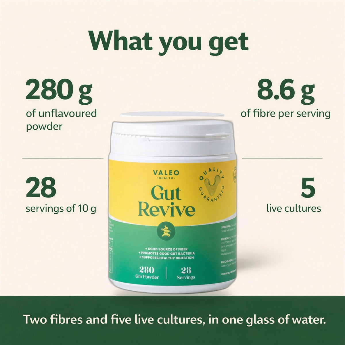 Valeo Gut Revive | Gut Cleanse for Women & Men | Prebiotics, Probiotics & Fiber for Digestive Health - 280g Powder