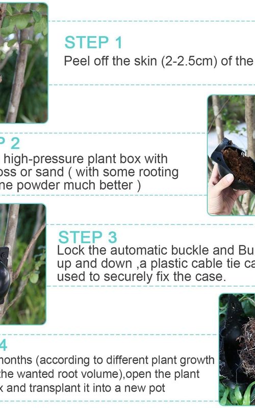 Air Layering Propagation Balls Hight-pressure Plant Rooting Ball Root Grafting Growing Breed