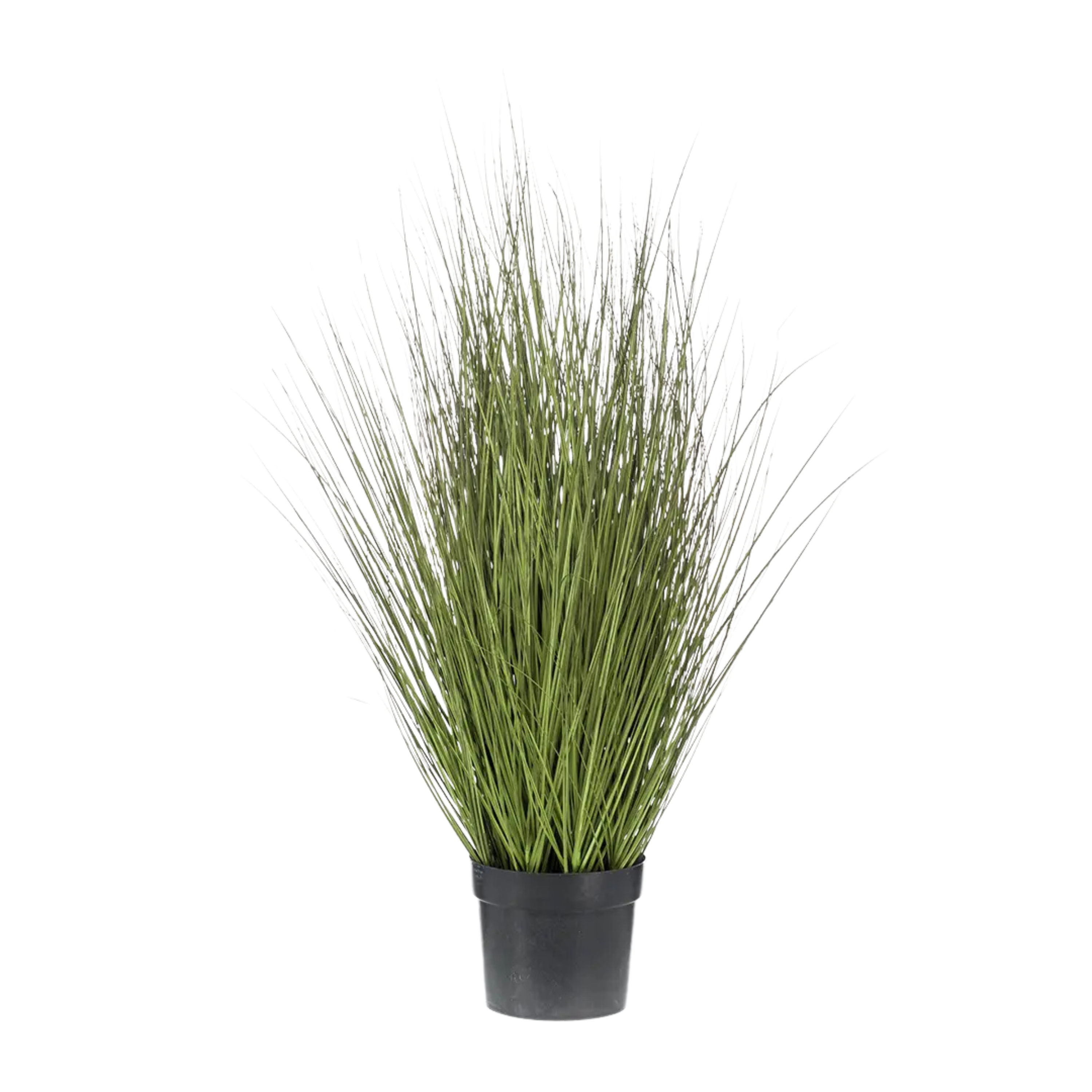 Grass Border