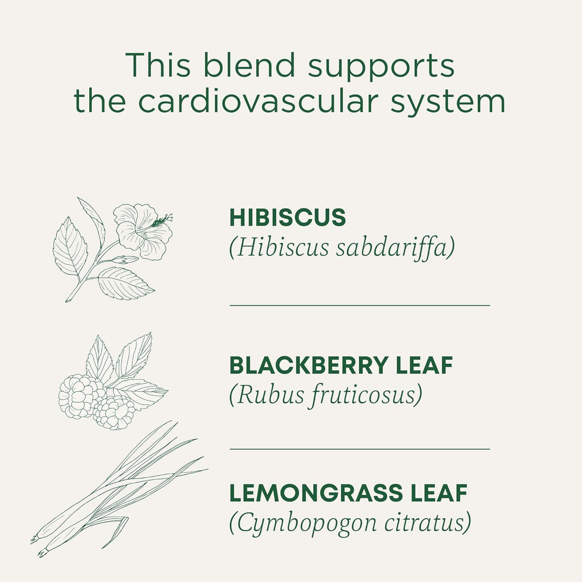 Traditional Medicinal Hibiscus, 16 Teabags
