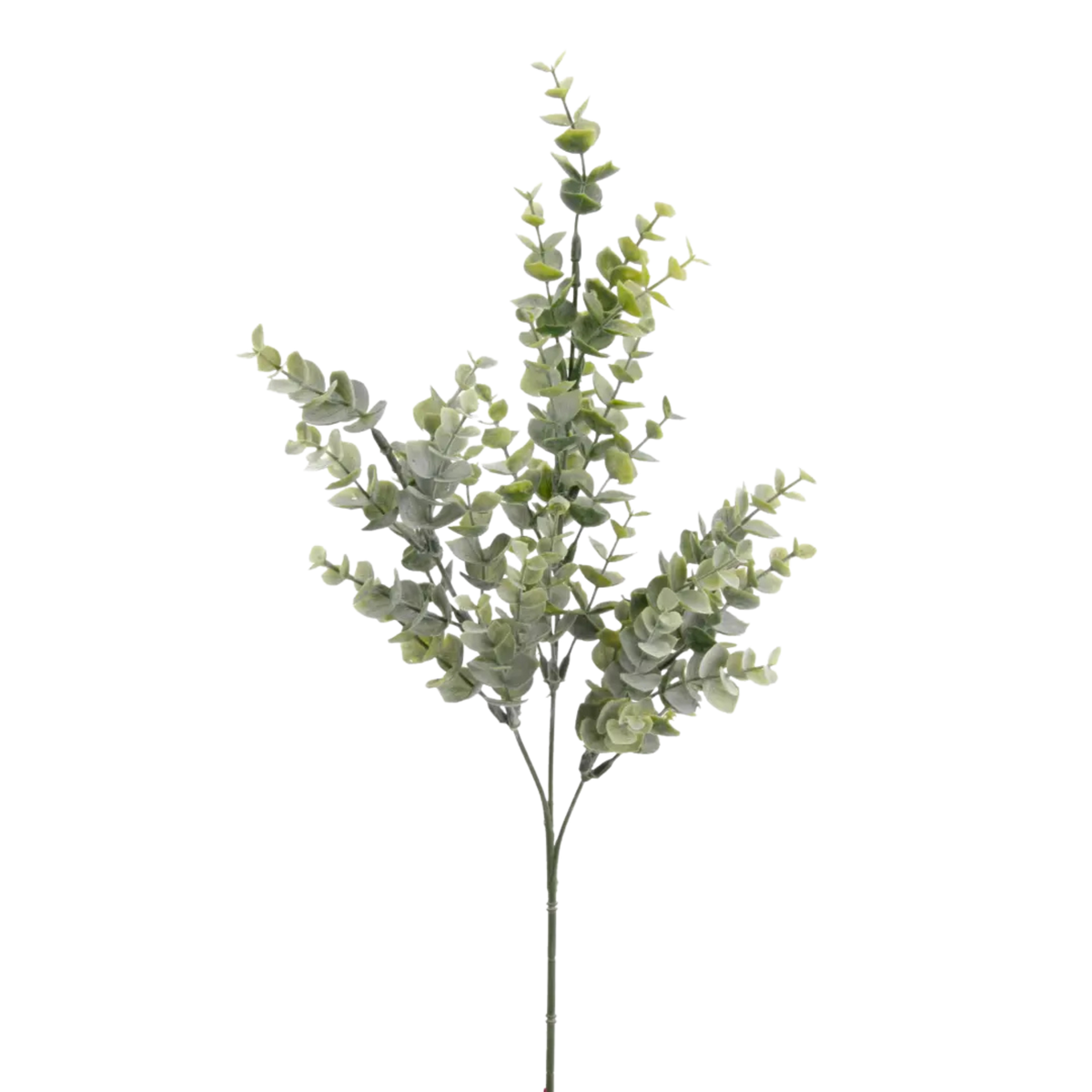 Eucalyptus Bridge Spray