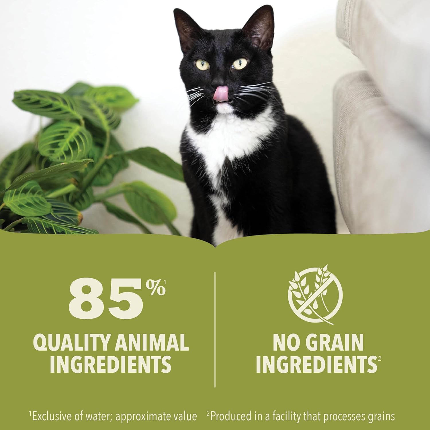 Acana Premium Beef Pate Cat Wet Food 85G