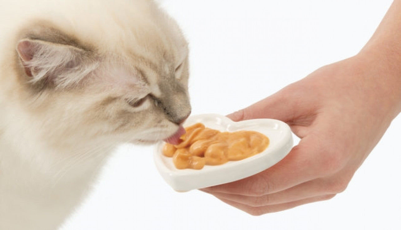 Catit Creamy Lickable Treats - Chicken & Lamb  12 pk / box