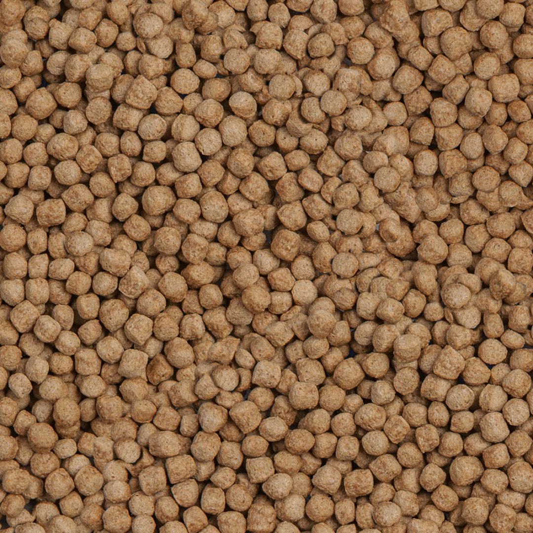 Sera Koi Royal Medium Nature Feed for All Koi, 1000ml
