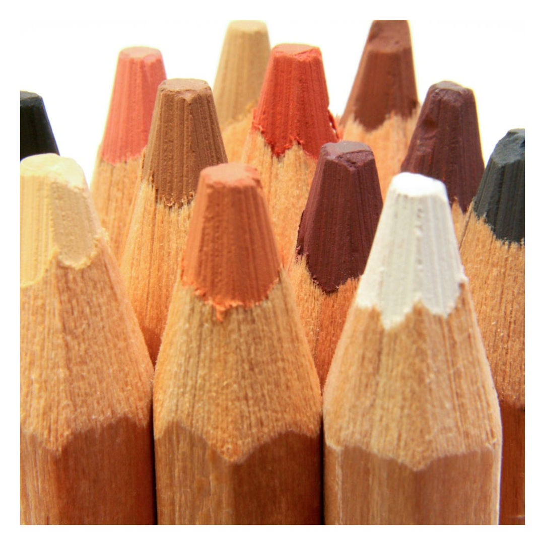 Mont Marte Skin Tints Pastel Pencils Signature, 12-Pieces, MPN0102
