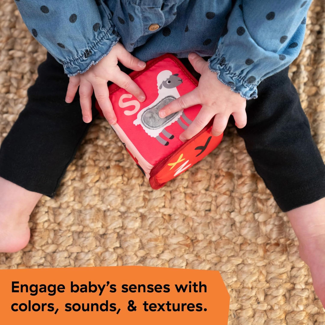 Baby Einstein Farm Explorers Alpha Stacks Soft Blocks, 3 Months+