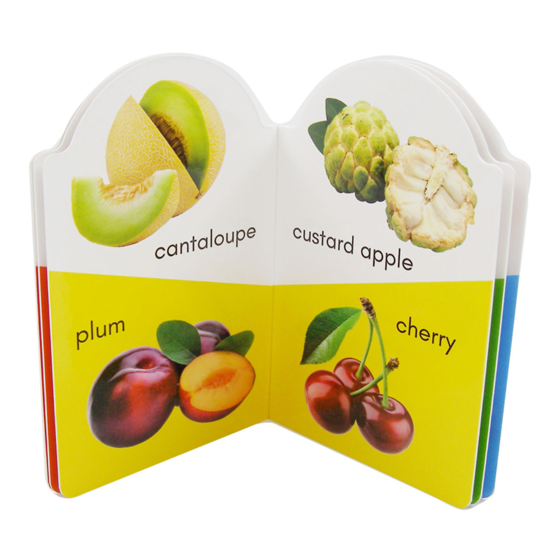 My Early Learning Book Series, Assorted