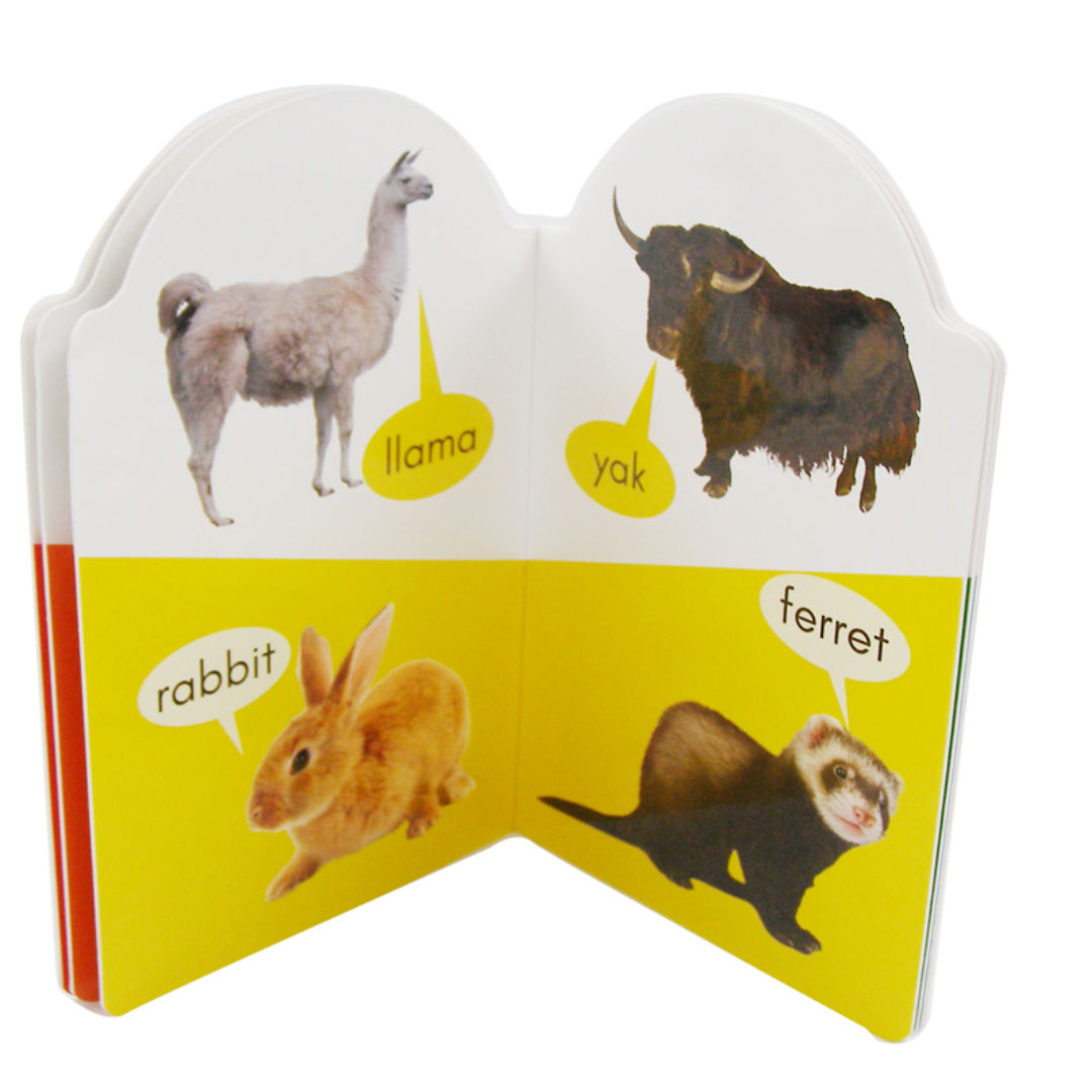 My Early Learning Book Series, Assorted